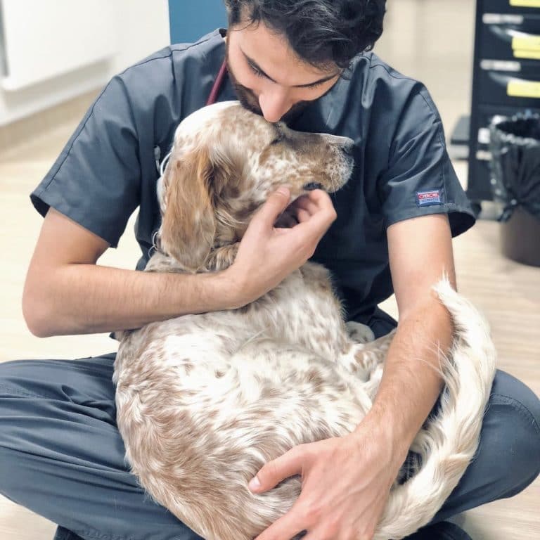 A male veterinarian in gray scrubs holding a white dog with light brown spots in a vet clinic.