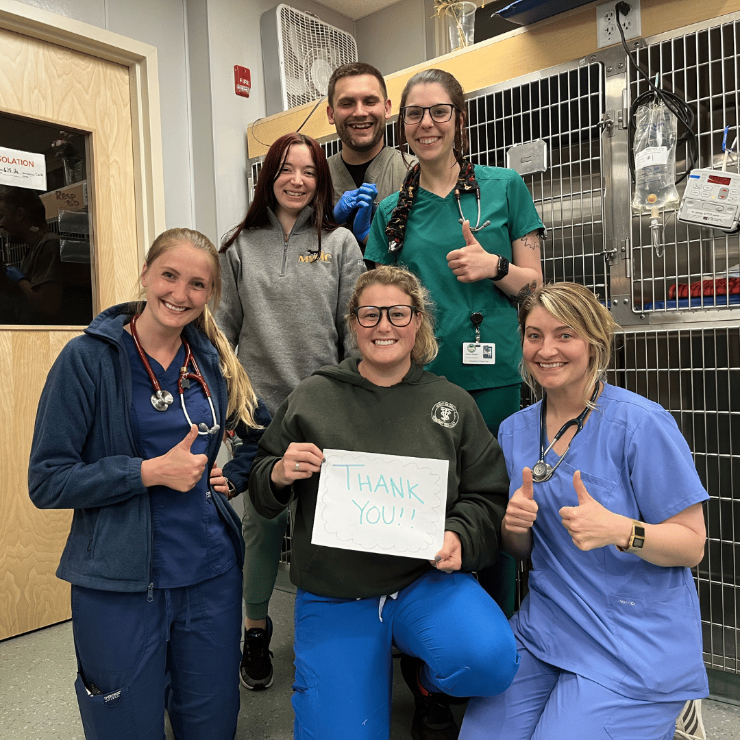 Six veterinary professionals are wearing scrubs and smiling towards the camera. Three of the people in the image are giving a "thumbs up" and the person in the front of the group holds a piece of paper that shows a "Thank You" message.