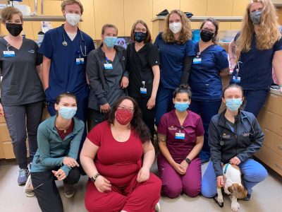 A group photo of NOMV Advocate Kelly Drescher Johnson in a veterinary clinic after dropping off snacks.
